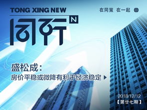 同策房產(chǎn)咨詢(xún)股份 賦能房地產(chǎn)行業(yè)的關(guān)鍵力量